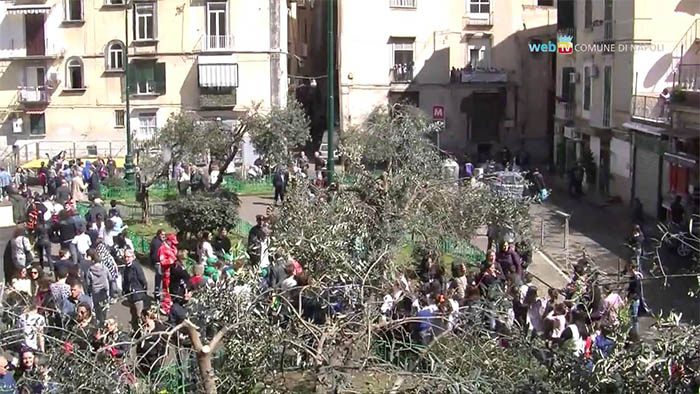  A Montesanto si festeggia l'arrivo della primavera mettendo a dimora alberi di Ulivo