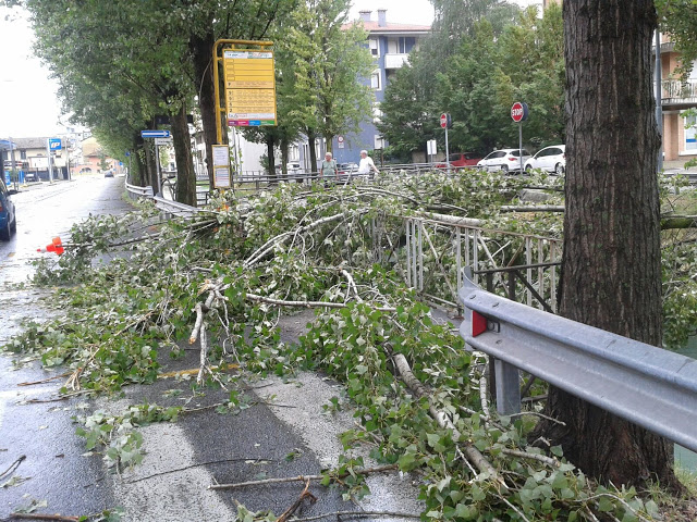 Maltempo Udine, tromba d'aria e forte vento in tutta la città